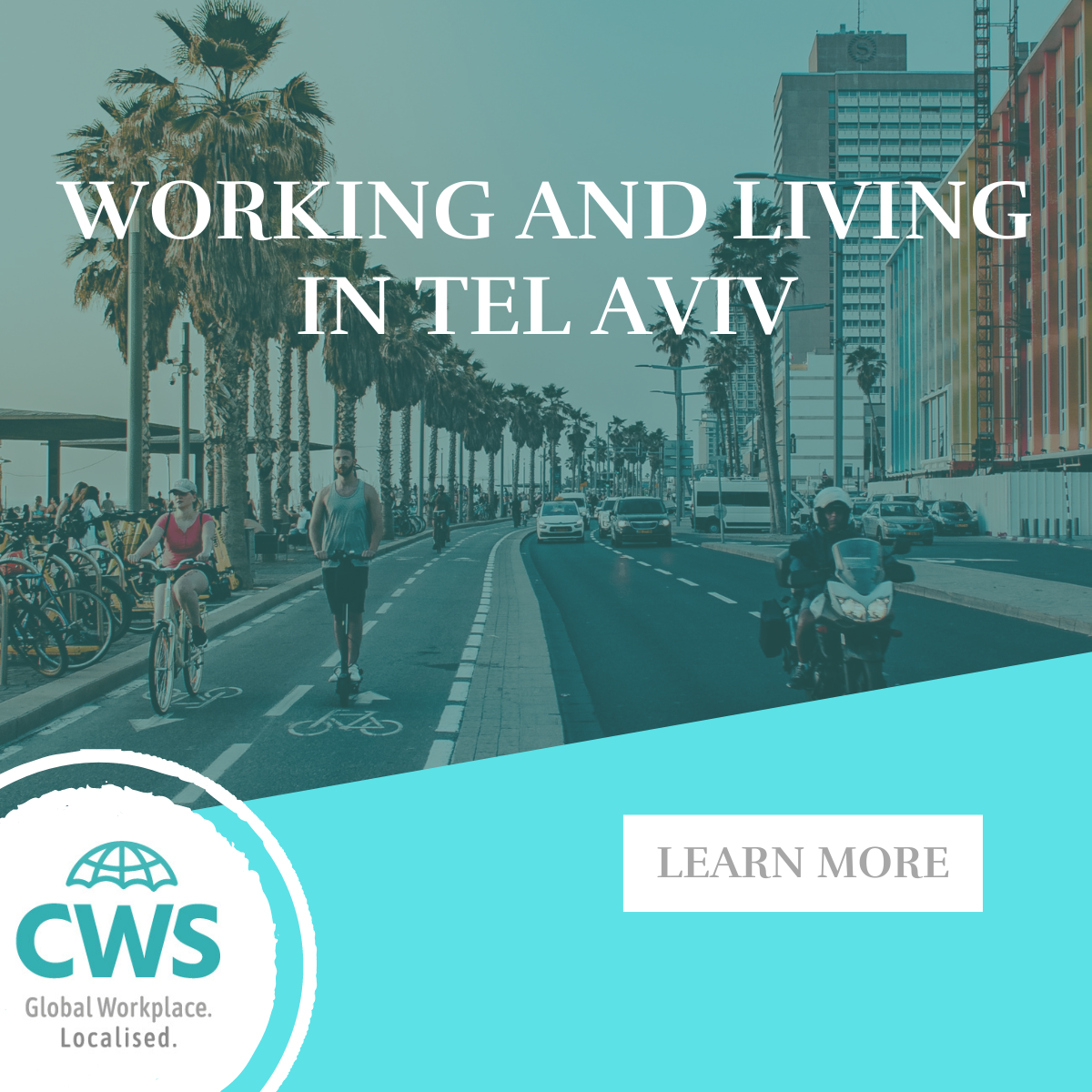 Embracing the Vibrant Spirit A Glimpse into Life and Work in Tel Aviv